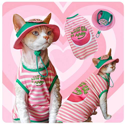 可爱条纹斯芬克斯猫德文无毛猫衣服夏季薄款宠物衣服条纹背心潮流