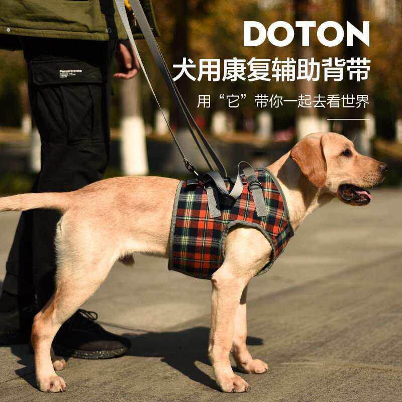 宠物狗狗辅助带狗腿提拉带前腿后腿残疾受伤高老龄犬支撑辅助行走