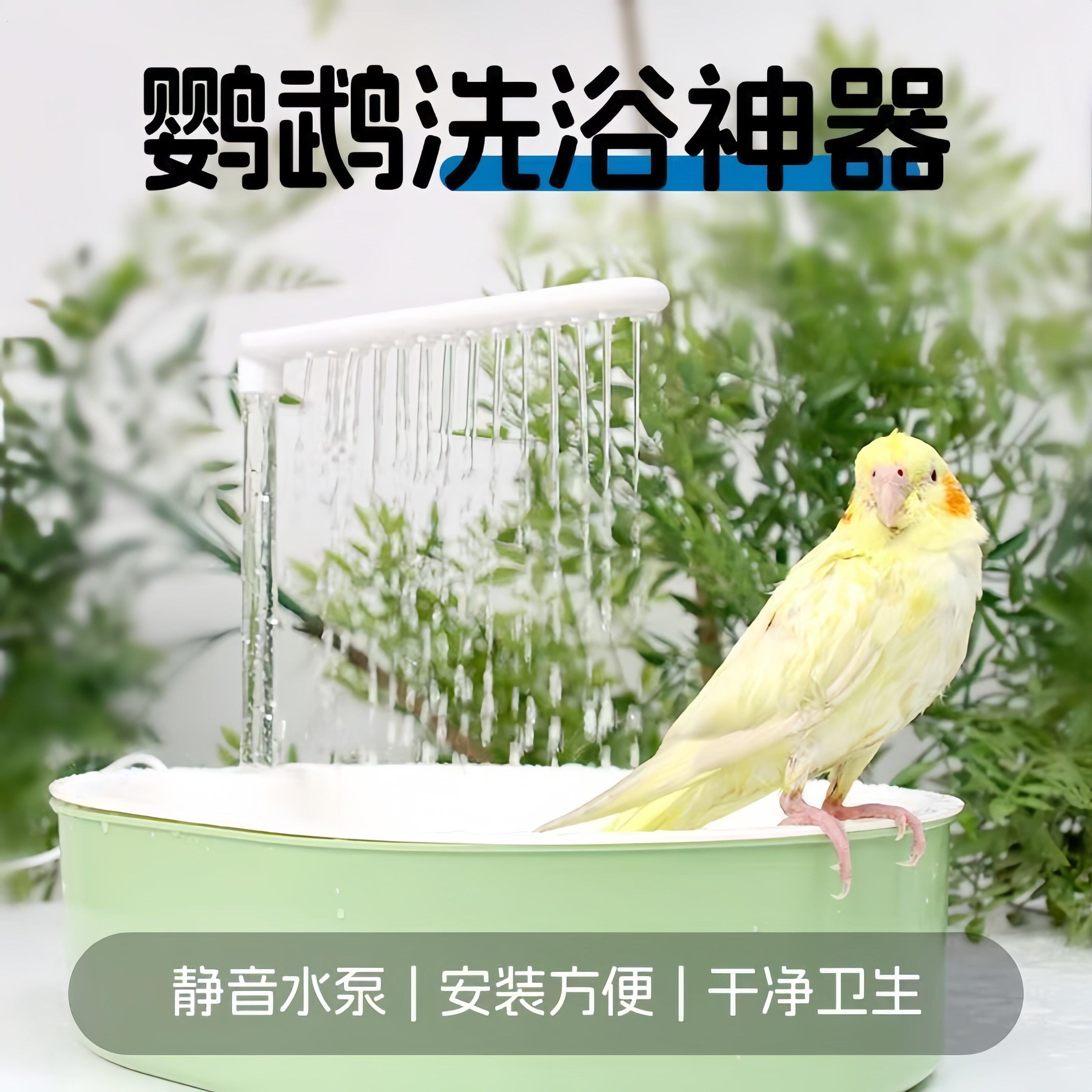 鹦鹉洗澡盆电动自动水循环小鸟专用虎皮八哥牡丹玄武大号洗澡神器
