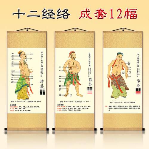 十二经络图卷轴挂画装饰画中医养生推拿针灸人体十四穴位养生馆画