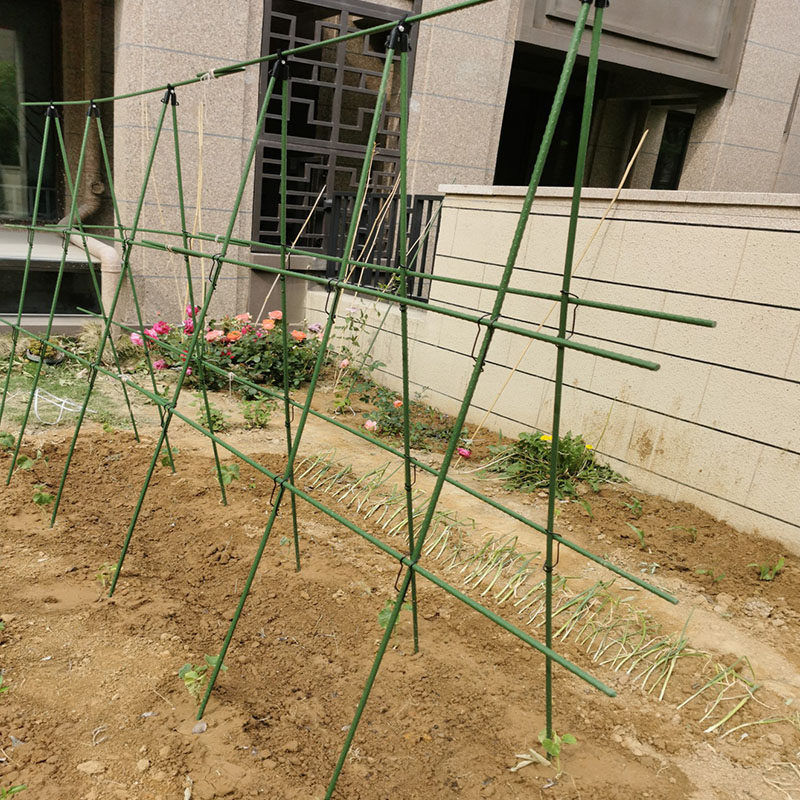 园艺支架黄瓜豆角爬藤支撑架子菜园种菜防倒网格支撑杆阳台户外,鲜花速递/花卉仿真/绿植园艺,花架,淘宝优惠券,粉丝福利购,淘宝优惠卷