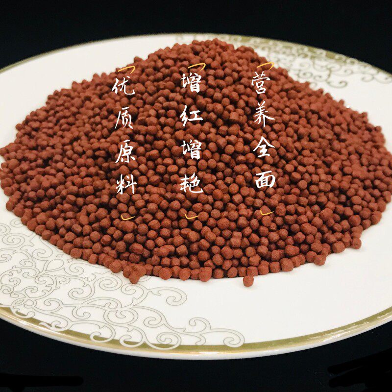 鼎艳红鹦鹉鱼食元宝血鹦鹉快速上色增艳红饲料上浮颗粒鱼粮不浑水