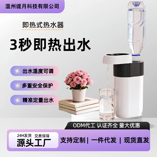 跨境即热式饮水机便携家用桌面出热水旅行抽水迷你小型即烧即热