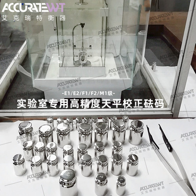 E2级单只砝码1mg5mg20mg1mg-100g200g 500g316L无磁天平校准砝码