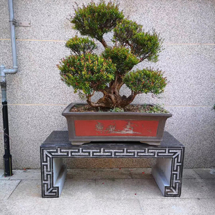 仿古庭院石花架石雕盆景台石头底座摆件石桌石凳子石条案青石供桌