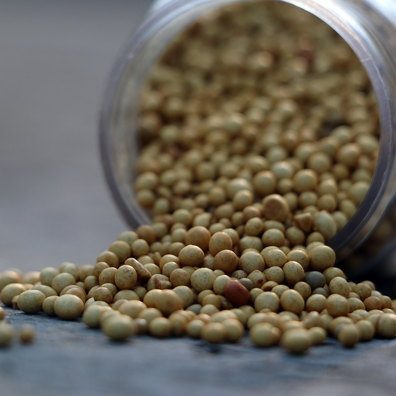 进口通用花肥 奥绿肥 缓释肥兰花月季玫瑰绿萝果树等肥料,鲜花速递/花卉仿真/绿植园艺,介质/营养土,淘宝优惠券,粉丝福利购,淘宝优惠卷