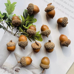 森系天然橡子干果大橡果圆橡果装饰手工干花挂件幼儿园环创小摆件