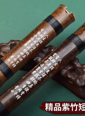 萧乐器八孔箫一节箫笛洞箫F紫竹箫初学者二节长洞箫G调短箫古风