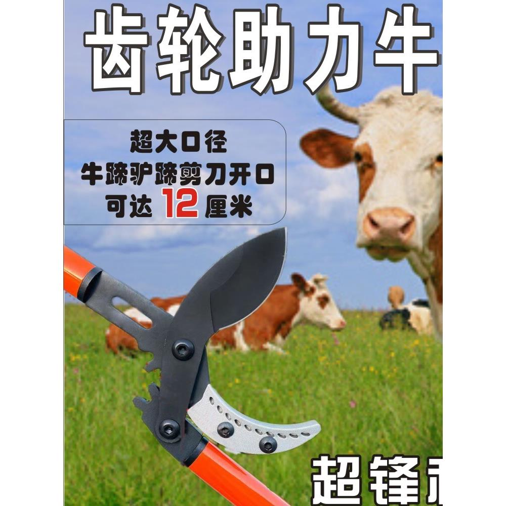 猪蹄牛羊猪跛蹄驴蹄修蹄剪牛羊猪病蹄跛蹄专用剪刀养殖用品兽用器