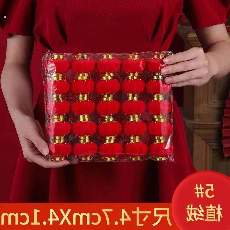 挂树上的小灯笼新年挂件装饰超迷你户外防水防晒挂饰院子过年喜庆