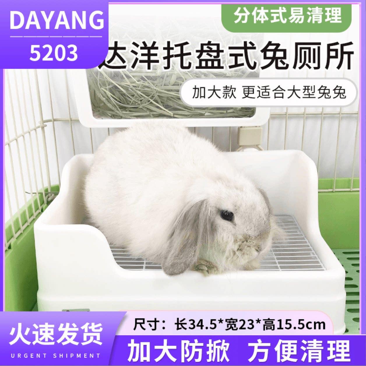 【正品】达洋厕所新款两件式大号兔子厕所防溢防掀翻双固定尿盆屎