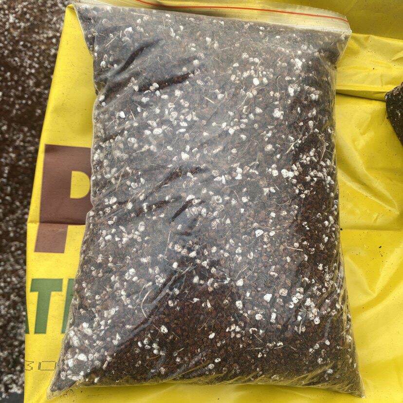 基地自配仙人球多肉植物专用土1升装进口泥炭混合颗粒3:7