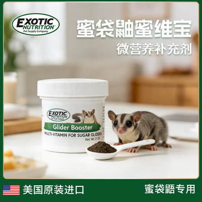 Exotic伊哥硕蜜袋鼯专用营养品