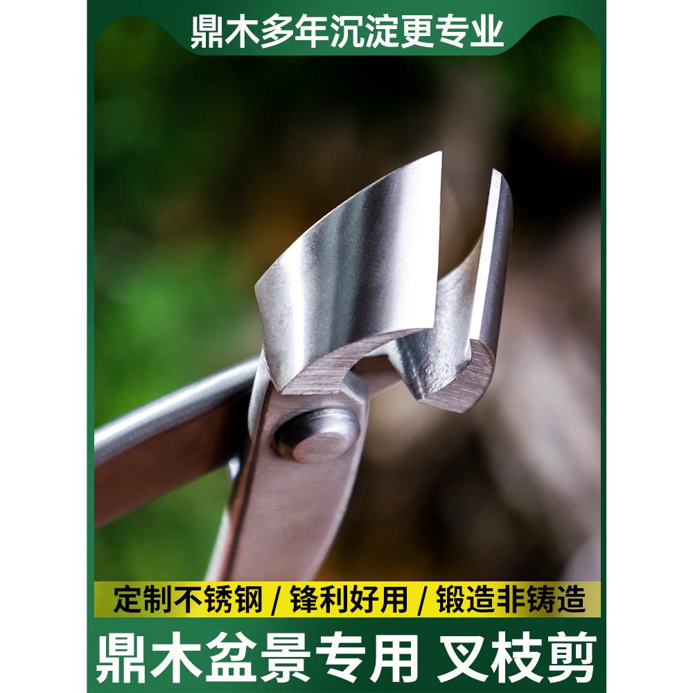 鼎木 不锈钢 盆景叉枝剪斜球口钳盆栽树瘤修剪钳园艺制作造型工具