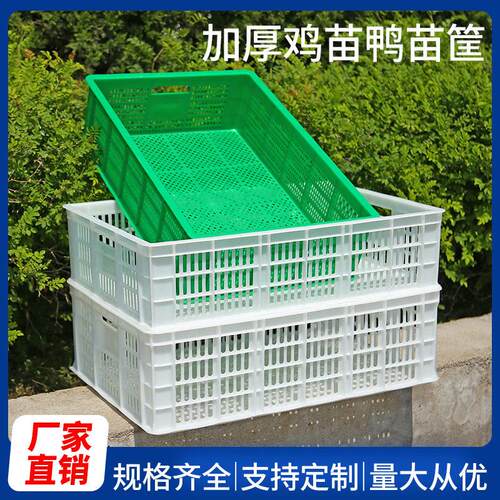 塑料筐长方形加厚加高大鸭苗筐鸡苗筐装鸡的筐周转雏鸡盘家禽框子