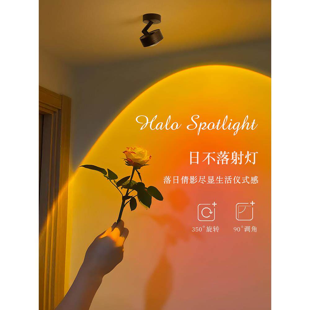 采购产品表面安装射灯，现代和简单的网络名人日落灯，可调节的客