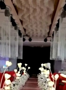 白色线帘 西式婚礼布置成品加密婚庆吊顶圆环流苏银丝加粗吊帘