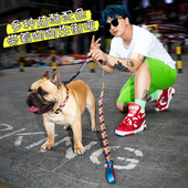 DOCO潮酷溜狗狗牵引绳字印花尼龙项圈牵引带中小型犬法斗柯基泰迪