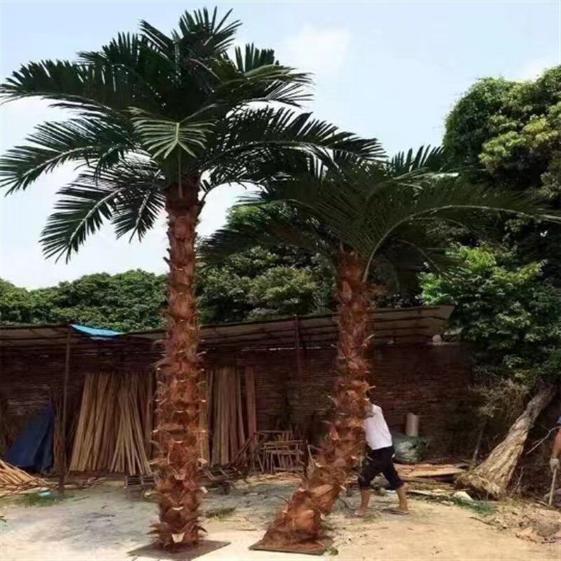 仿真棕榈树大型假树热带仿真绿植造景室内外装饰大树人字皮棕榈树