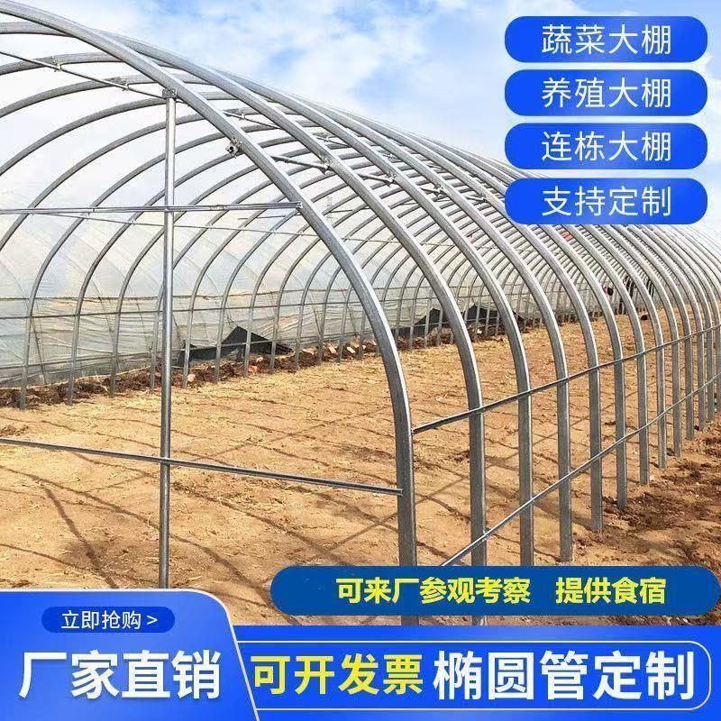 椭圆管养殖种植大棚骨架温室支架一整套养殖棚全套鸡鸭鹅猪牛羊棚