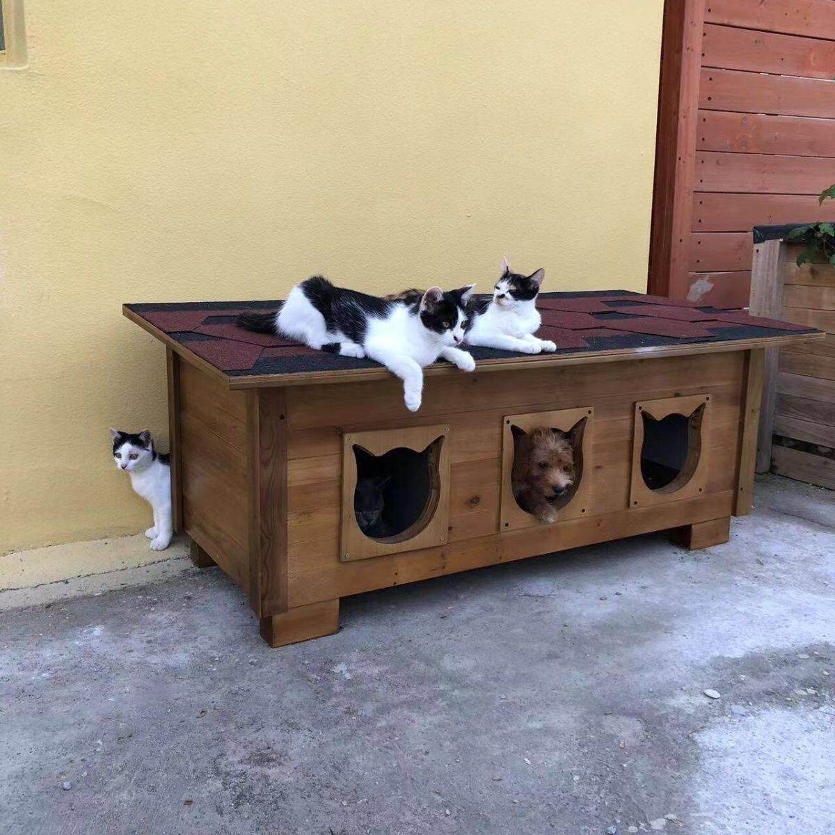 流浪猫屋猫房室外猫房宠物猫房防晒防水猫窝户外冬季保暖室外猫窝