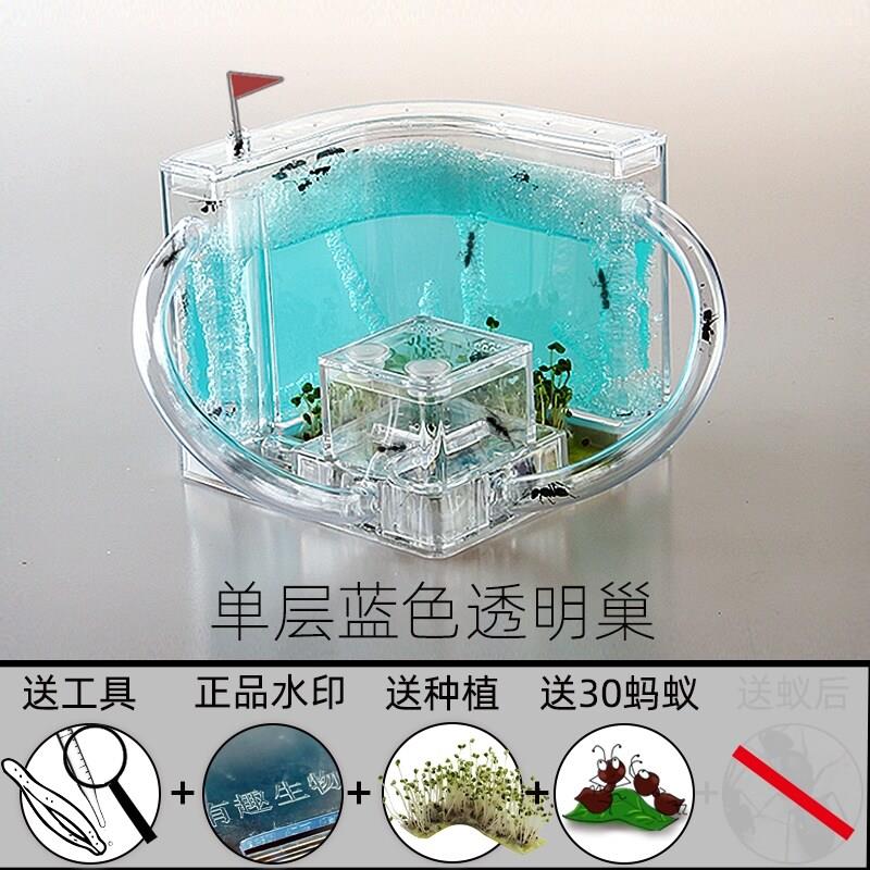 蚂蚁工坊宠物蚂蚁城堡 蚂蚁生态箱 蚂蚁窝生态平面蚁巢活动区教学