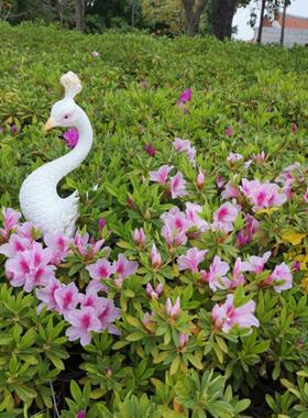 户外庭院花园景观风格创意孔雀插花盆插装饰盆栽植物装饰阳台花园