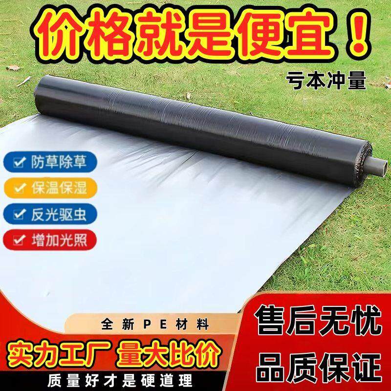 银黑农用地膜除草膜加厚反光膜专用保温果园蔬菜银黑蔬菜支持定制