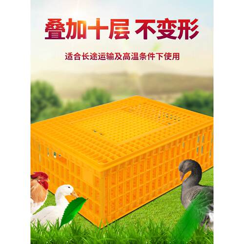 鸡笼塑料周转箱成鸡鸭鹅运输筐加厚大码鸡笼鸡鸭鹅鸽笼周转运输ll