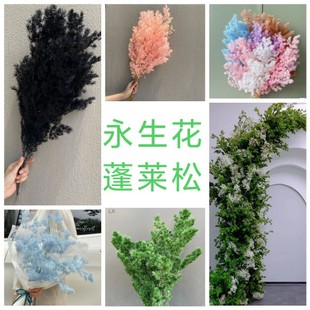 乾燥花永生蓬莱松雾状蓬松花艺软装花艺美陈婚庆布置咖啡厅装饰