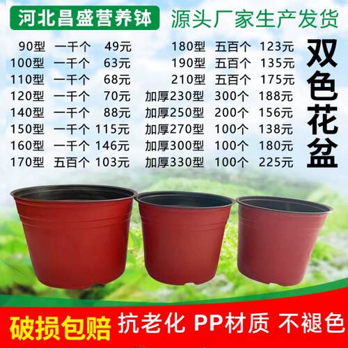 双色盆一次性育苗花盆营养钵多肉扦插种植培育盆外红内黑育苗盆