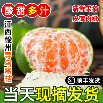 江西寻乌青皮蜜桔无籽酸甜多汁