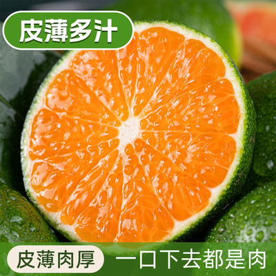 寻乌青皮蜜桔皮薄无籽当季鲜果