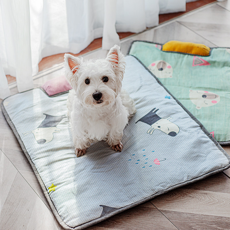 狗垫子睡觉用夏天狗狗睡垫不粘毛宠物夏季猫咪冰丝凉垫狗窝凉席,宠物/宠物食品及用品,猫狗垫子,淘宝优惠券,粉丝福利购,淘宝优惠卷