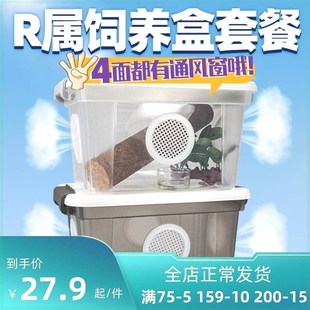 爬宠饲养箱防逃逸R属豹纹睫角巨人守宫透气蜘蛛角蛙透明饲养盒