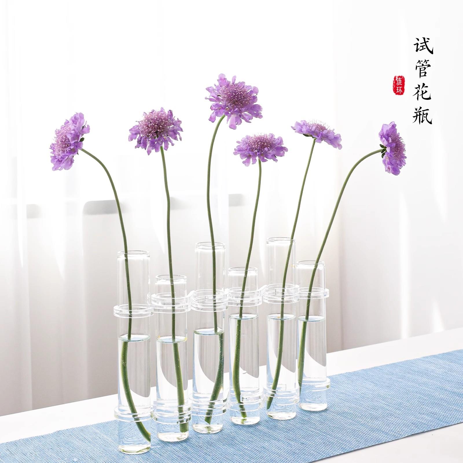 一排试管玻璃花瓶摆件客厅插花高级ins风水培亚克力创意单支花器