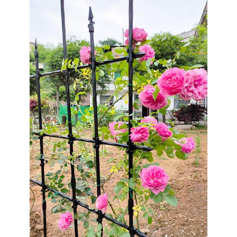 藤本月季网格爬藤架玫瑰蔷薇蓝雪铁线莲花架花园庭院户外攀爬支架