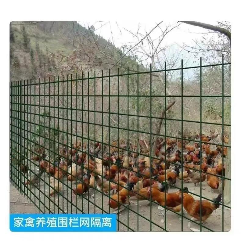 铁丝网围栏网钢丝铁网子护栏网荷兰网养鸡网养殖网栅栏家用防护网
