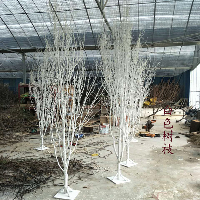 干树枝桦树枝仿真白桦树枯枝白树酒店橱窗装饰造型树婚庆树干枝条