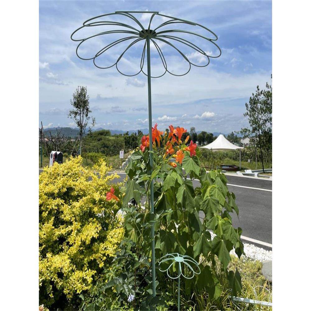 玫瑰山龟铁线莲伞形棒棒糖花架攀援藤架攀援植物攀援支架支撑杆铁 - 实物图