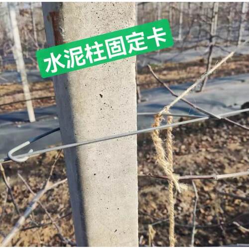 水泥柱固定卡果园基地建园卡扣大棚钢丝固定器柱子立柱平直式钢管