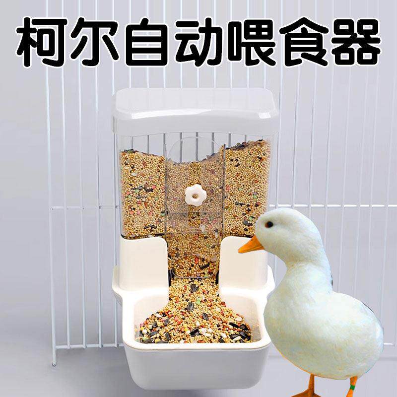 小鸭子喂食器自动漏食碗食盆挂式宠物柯尔鸭防踩翻养小鸡吃饭用品