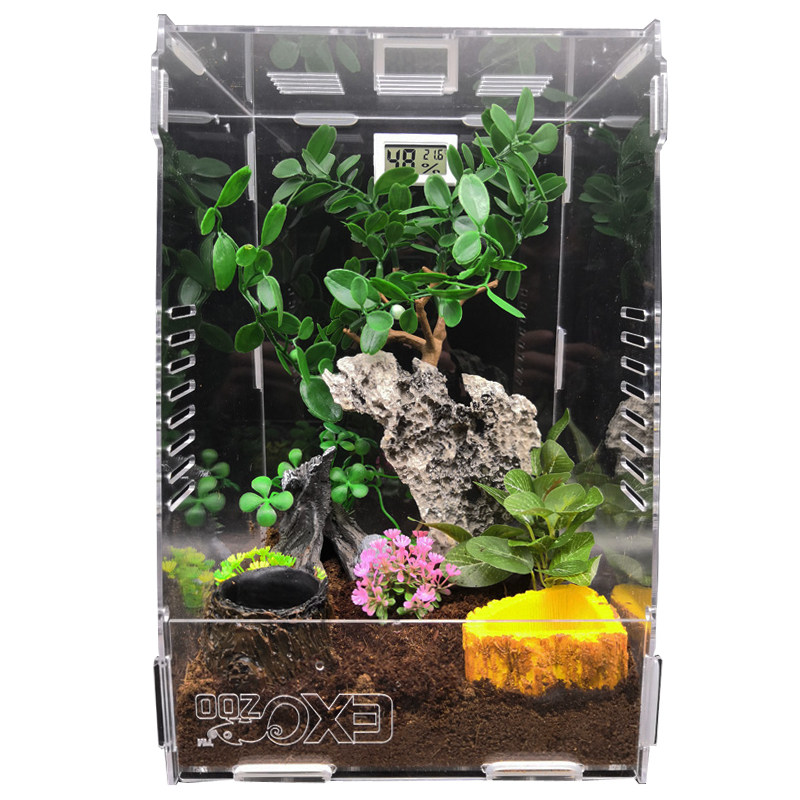 爬虫饲养盒蜗牛亚克力蜘蛛守宫角蛙寄居蟹蝎子造景宠物爬宠饲养箱,宠物/宠物食品及用品,桌面缸,淘宝优惠券,粉丝福利购,淘宝优惠卷