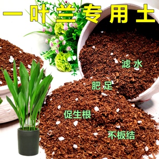 一叶兰专用土兰花养花种菜通用型营养土盆栽绿植种植土有机土特配