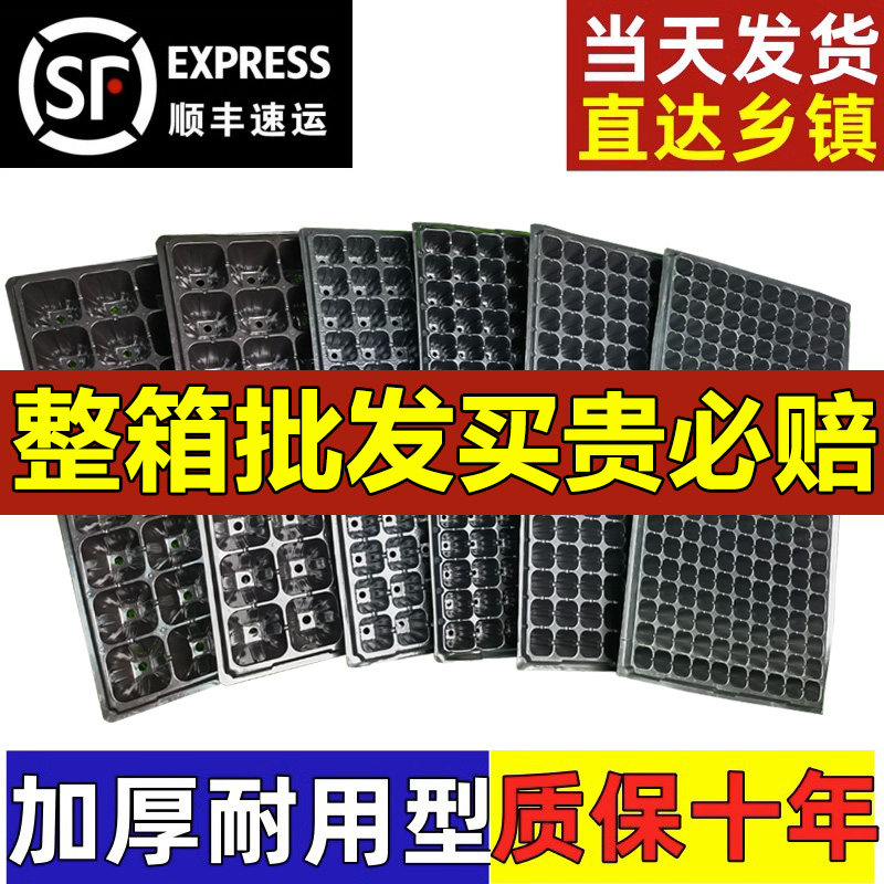 【亮明楼】整箱加厚多肉塑料育苗穴盘蔬菜育种扦插盒托盘盆