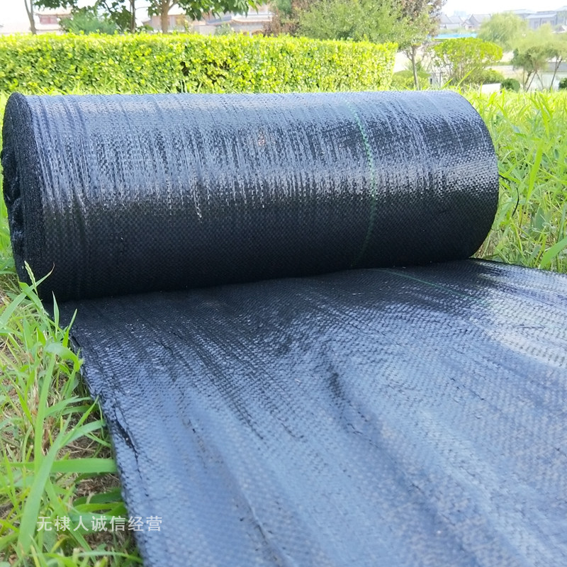 生态防草布园艺地布防草布防草地布除草垫除草地布果园防草布,鲜花速递/花卉仿真/绿植园艺,其它园艺用品,淘宝优惠券,粉丝福利购,淘宝优惠卷