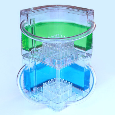 双层蚂蚁工坊城堡 蚂蚁庄园窝 别墅家园送蚁后 蚂蚁别墅石膏巢卵