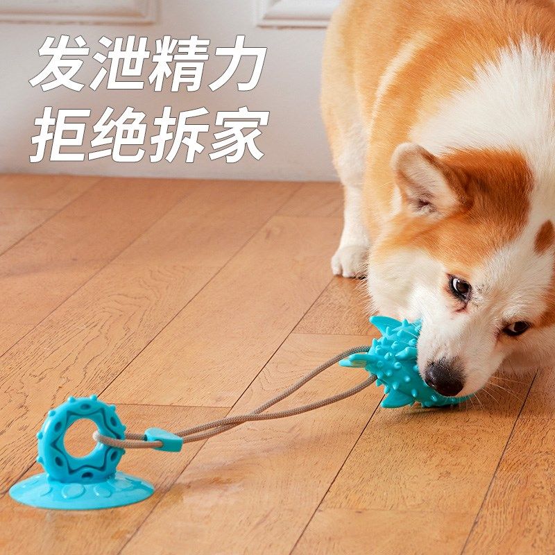 狗狗玩具耐咬球磨牙棒吸盘漏食球自嗨解闷柯基柴犬中型犬宠物用品,宠物/宠物食品及用品,橡胶球/球形玩具,淘宝优惠券,粉丝福利购,淘宝优惠卷