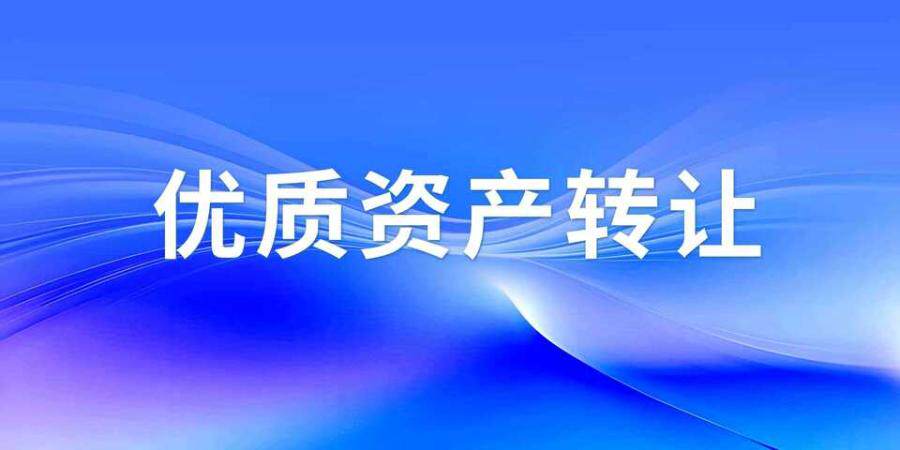 4月25日武汉市酒店闲置资产网络拍卖公告