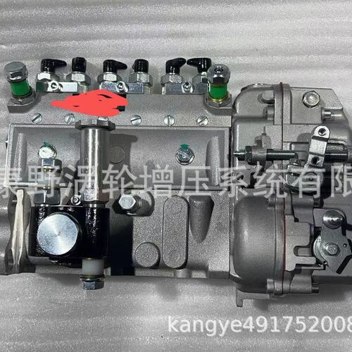 喷油泵101695-3050 101065-0406和101049-4100 6205-71-1350